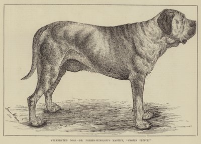 Berühmte Hunde, Dr. Forbes-Winslow